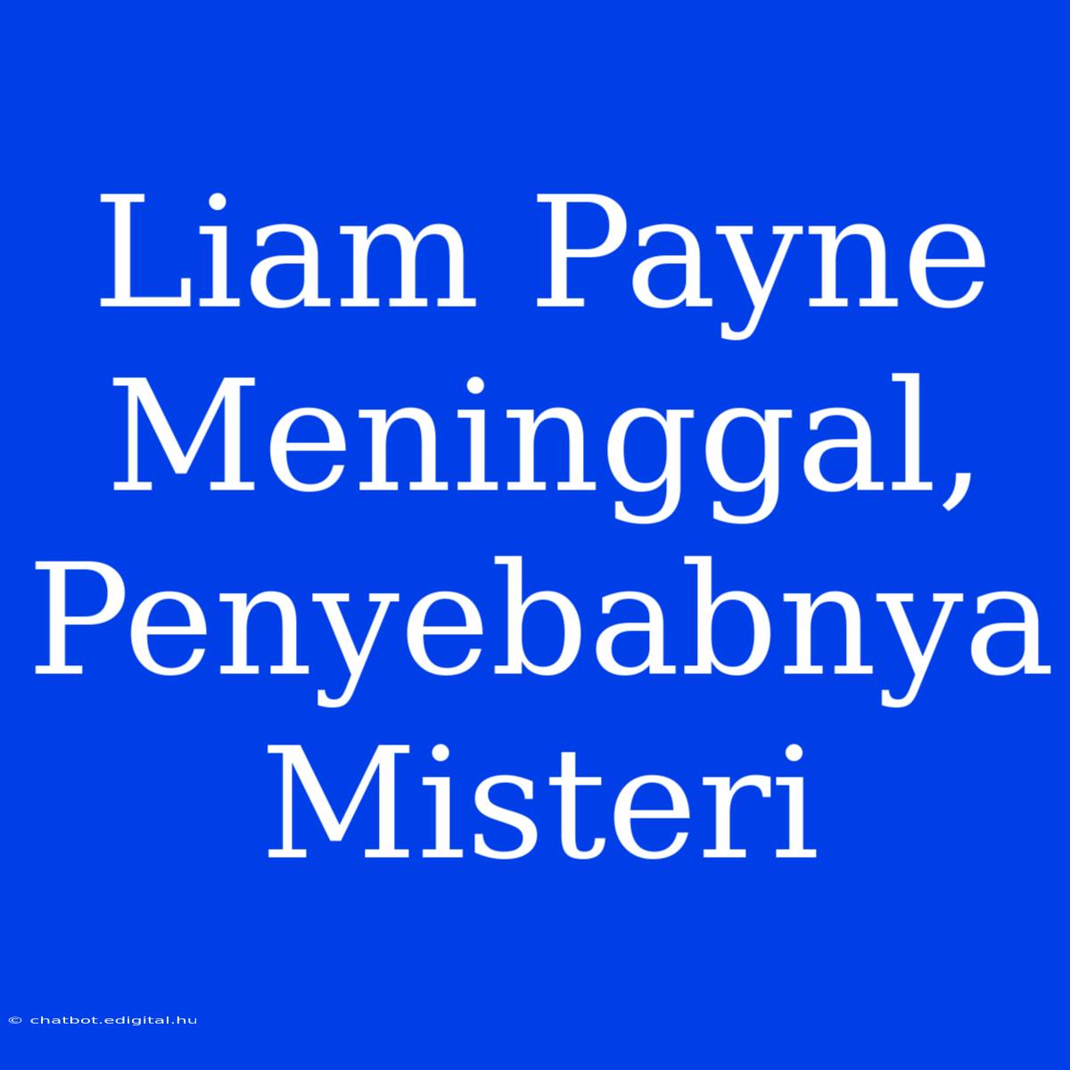 Liam Payne Meninggal, Penyebabnya Misteri