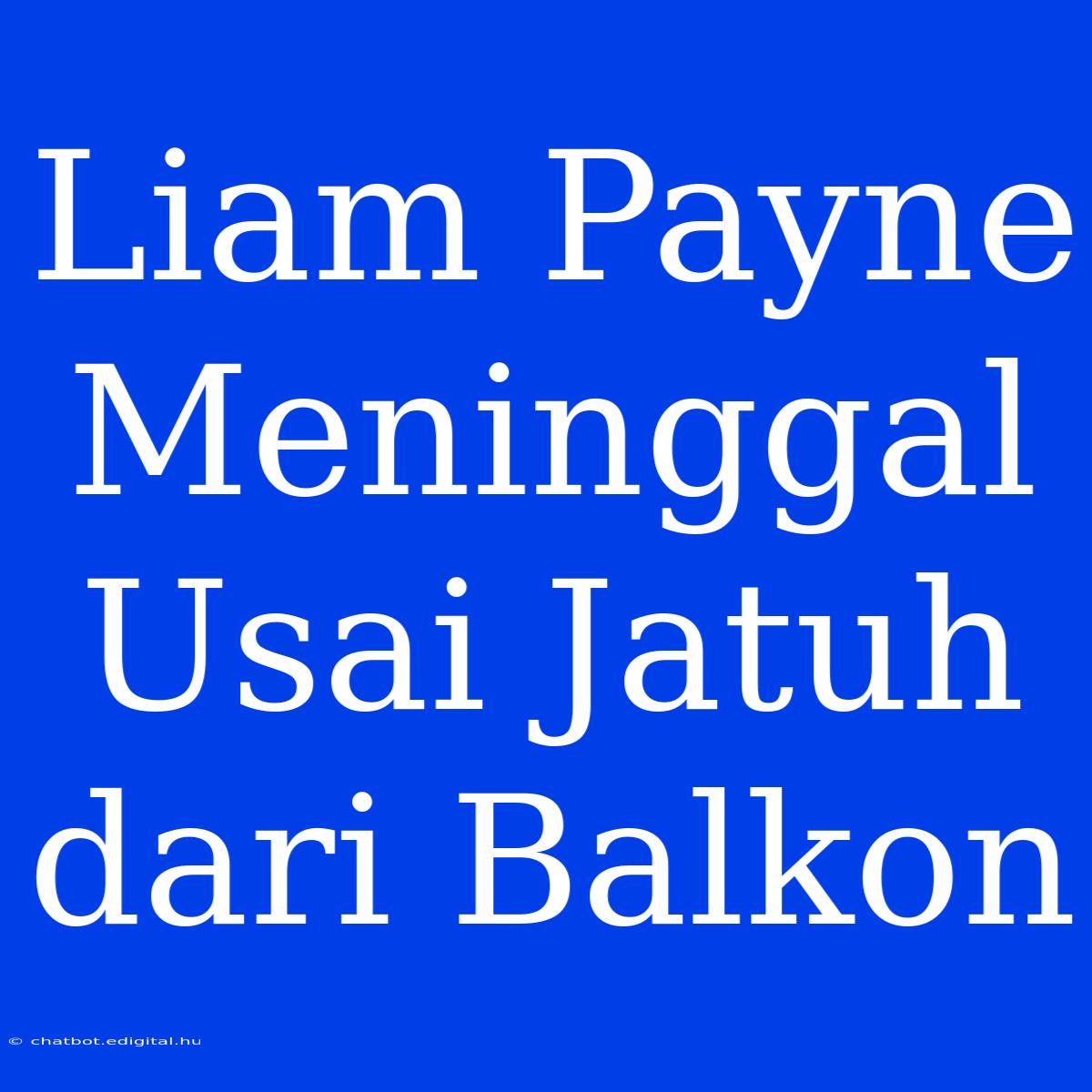 Liam Payne Meninggal Usai Jatuh Dari Balkon