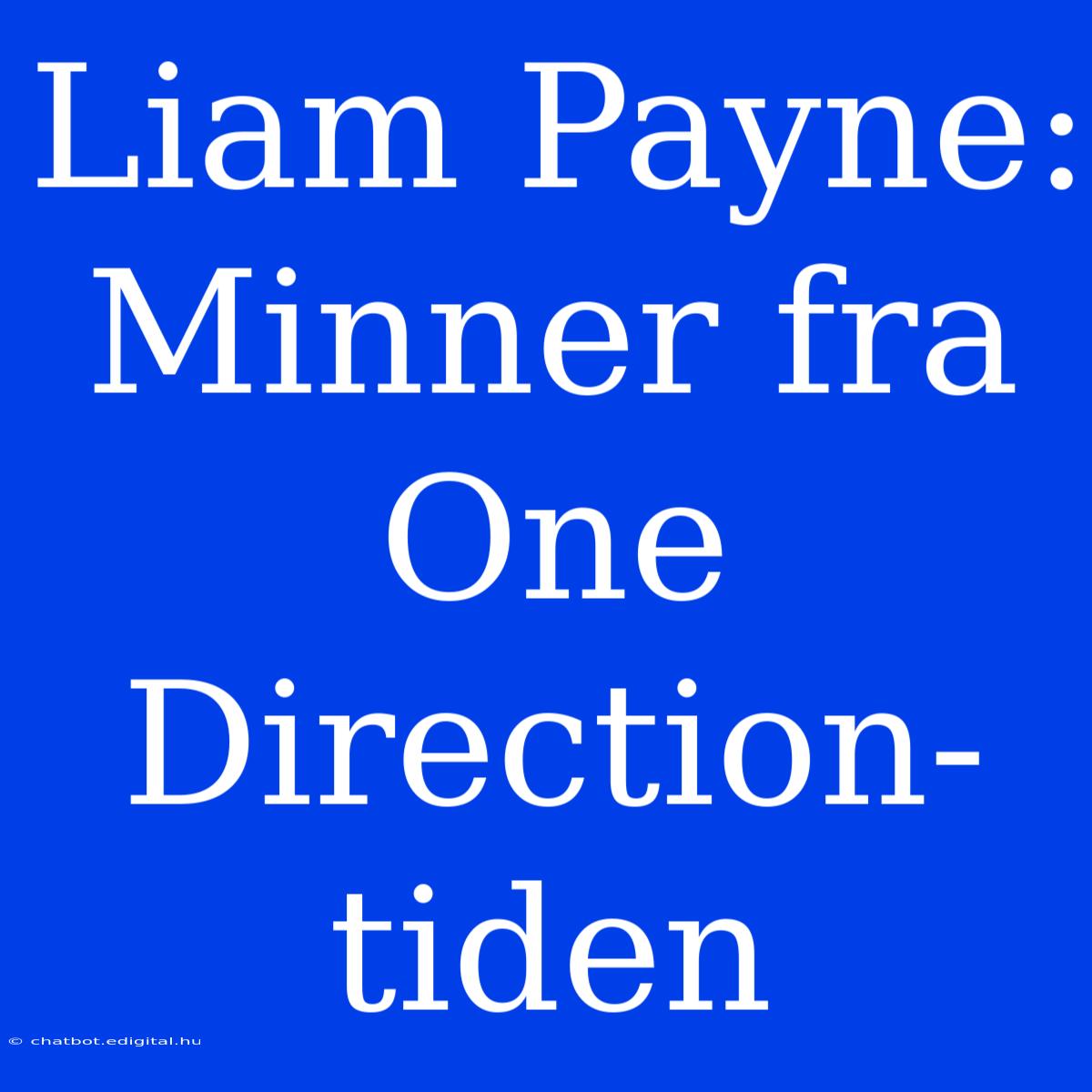 Liam Payne: Minner Fra One Direction-tiden 