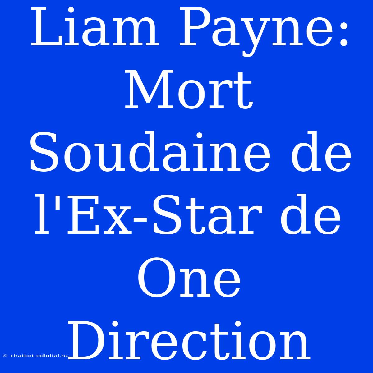 Liam Payne: Mort Soudaine De L'Ex-Star De One Direction