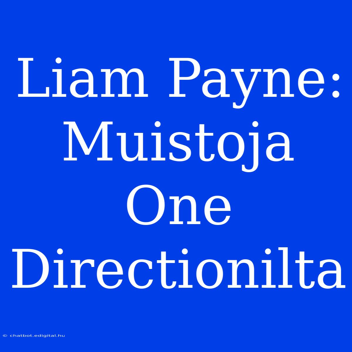 Liam Payne: Muistoja One Directionilta