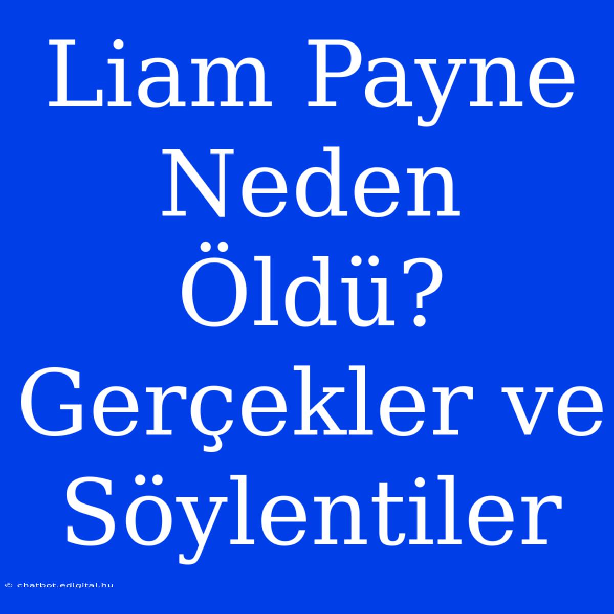 Liam Payne Neden Öldü? Gerçekler Ve Söylentiler