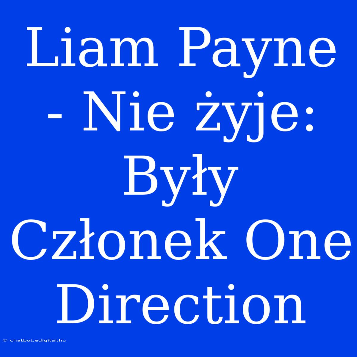 Liam Payne - Nie Żyje: Były Członek One Direction