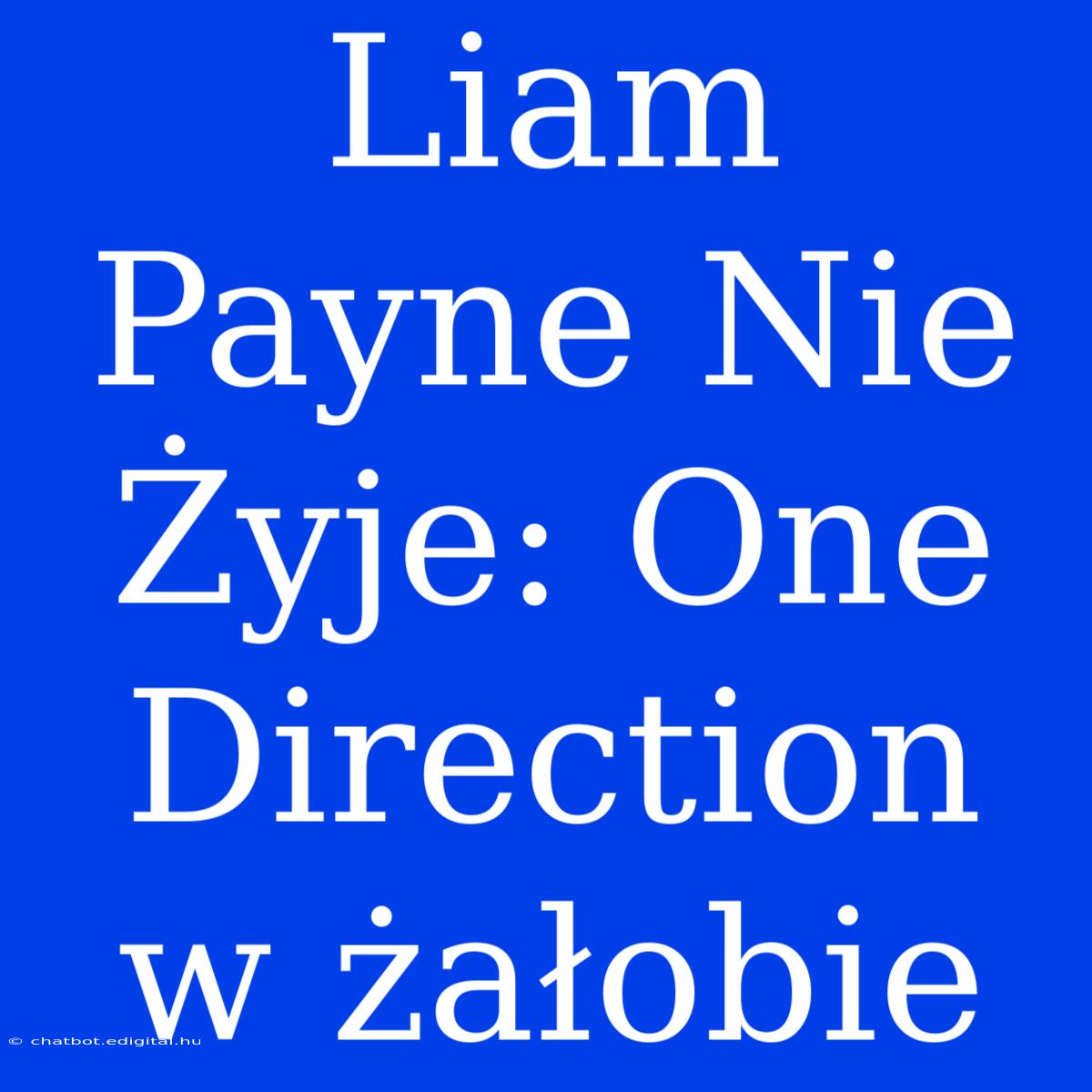 Liam Payne Nie Żyje: One Direction W Żałobie