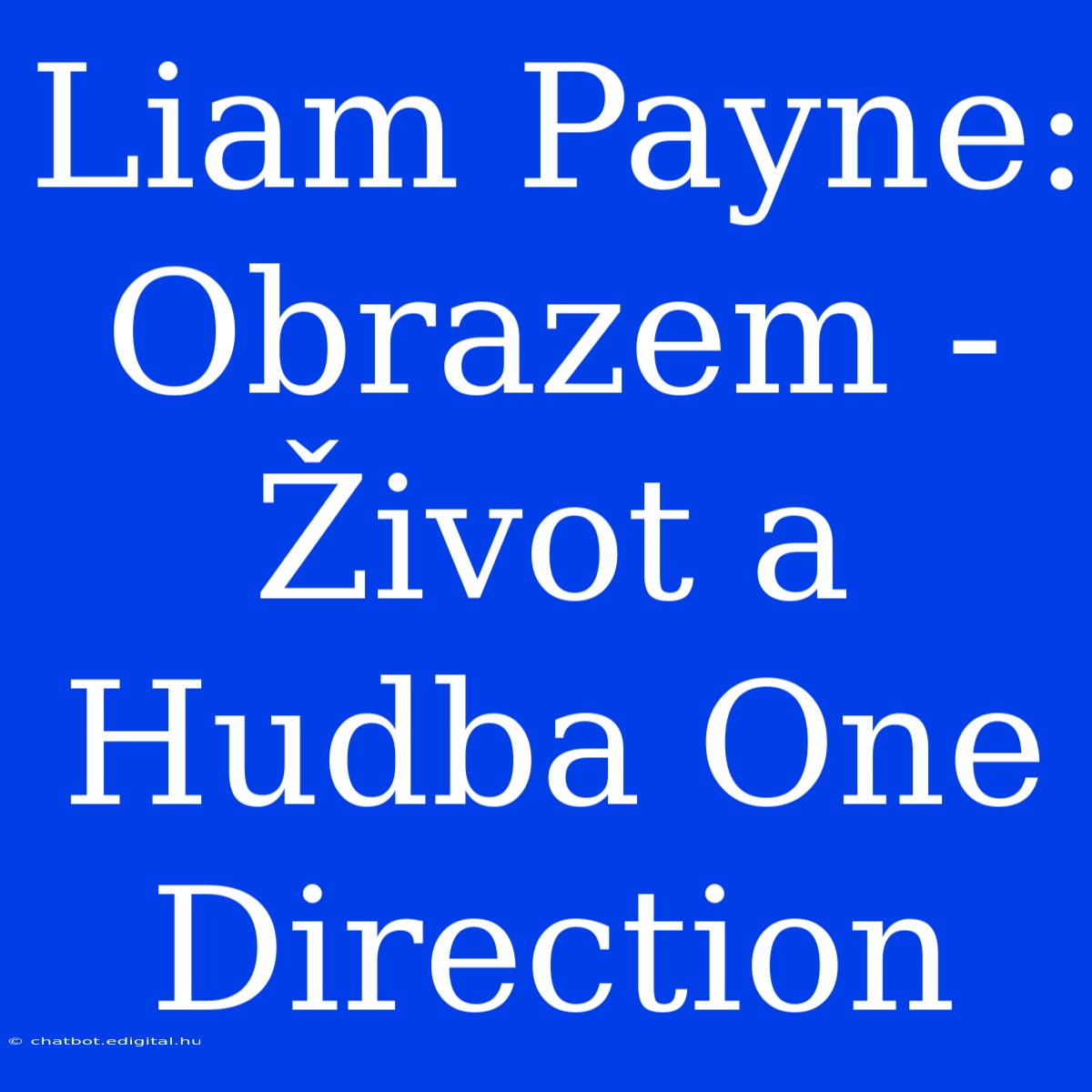 Liam Payne: Obrazem - Život A Hudba One Direction