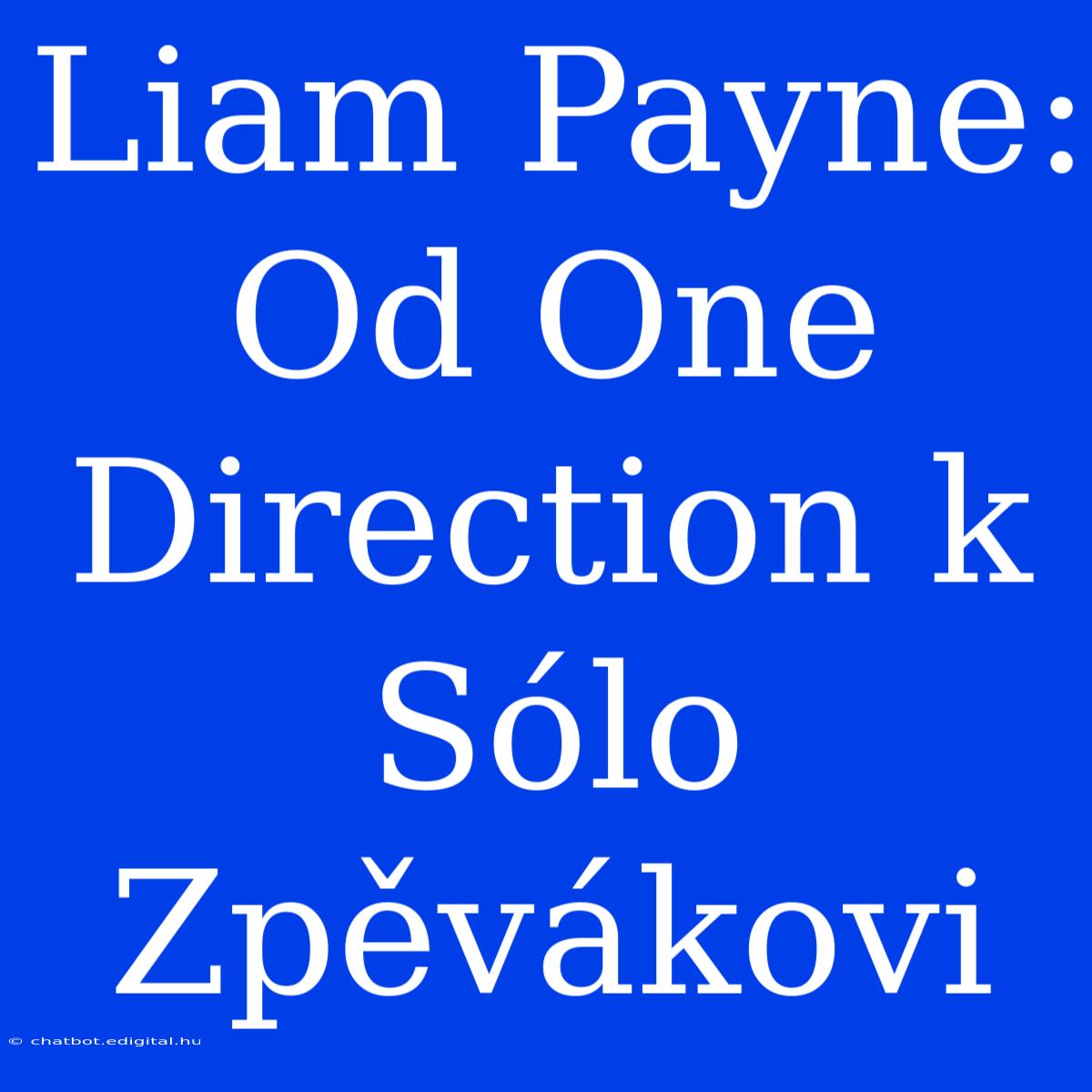 Liam Payne: Od One Direction K Sólo Zpěvákovi