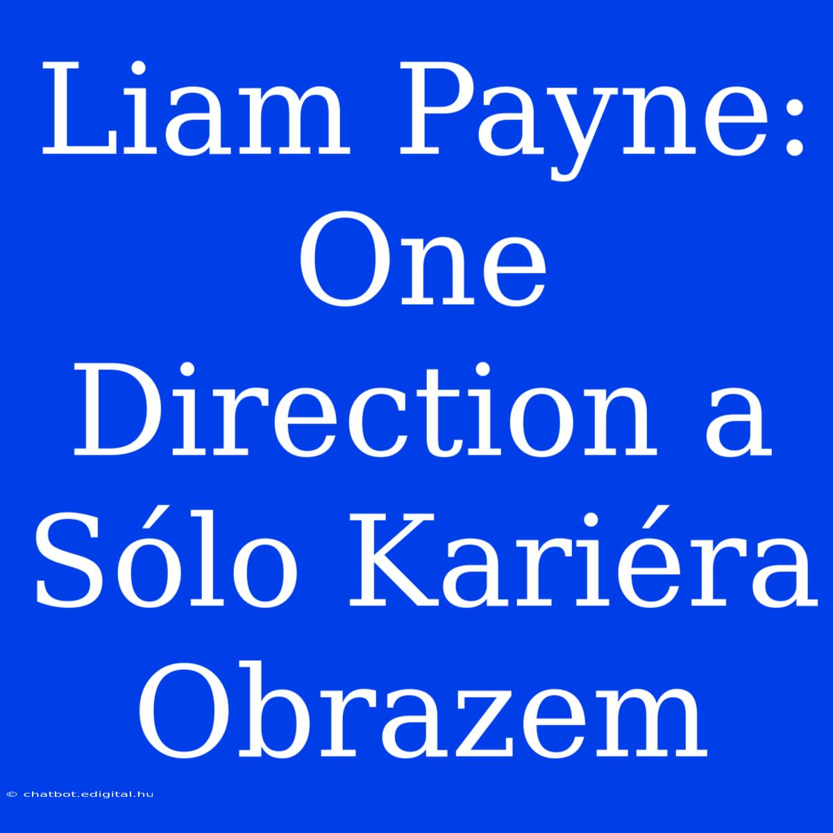 Liam Payne: One Direction A Sólo Kariéra Obrazem