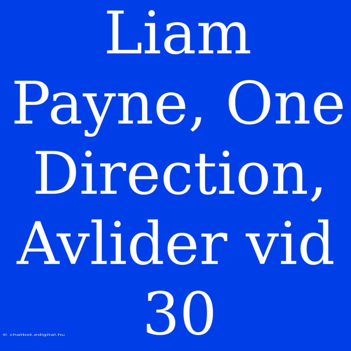 Liam Payne, One Direction, Avlider Vid 30