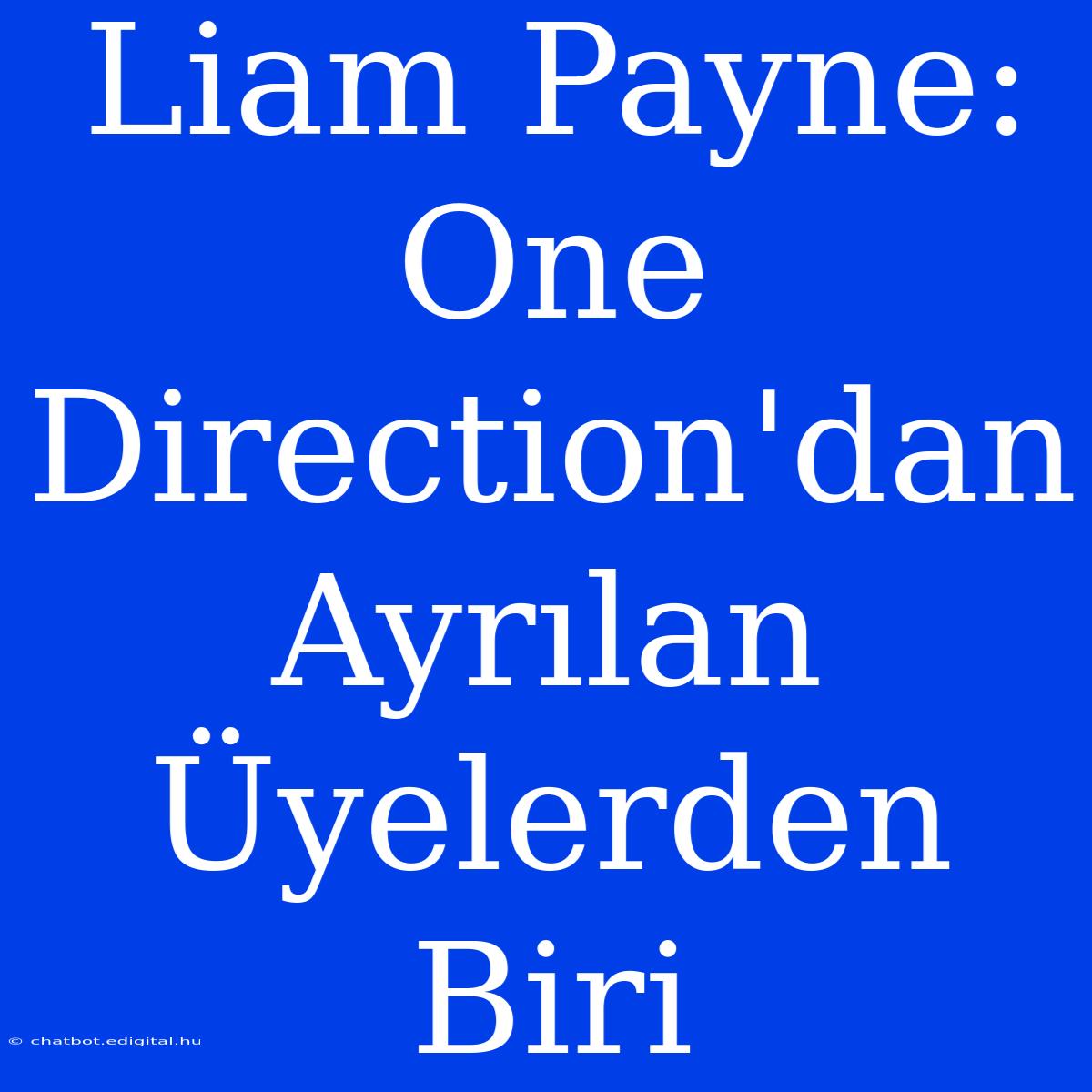 Liam Payne: One Direction'dan Ayrılan Üyelerden Biri 