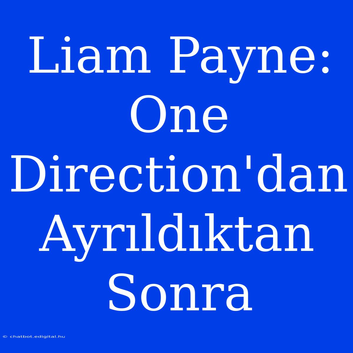 Liam Payne: One Direction'dan Ayrıldıktan Sonra