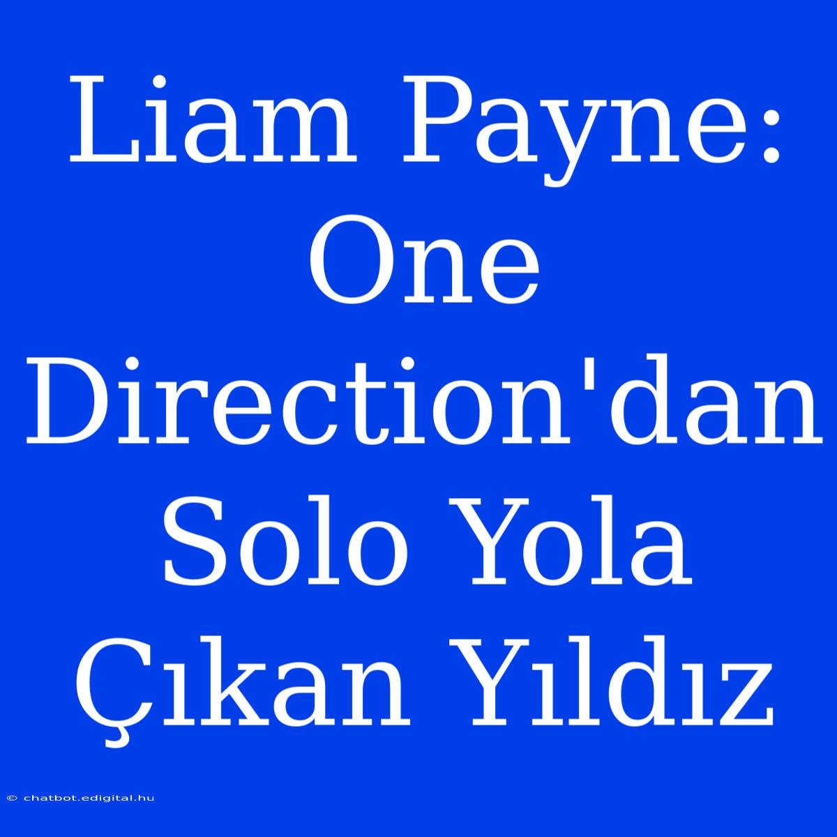 Liam Payne: One Direction'dan Solo Yola Çıkan Yıldız