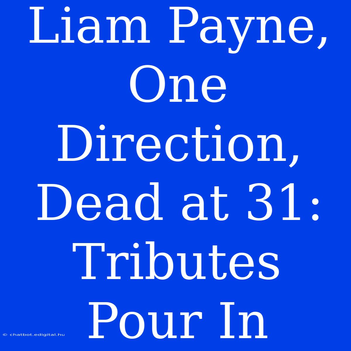 Liam Payne, One Direction, Dead At 31: Tributes Pour In