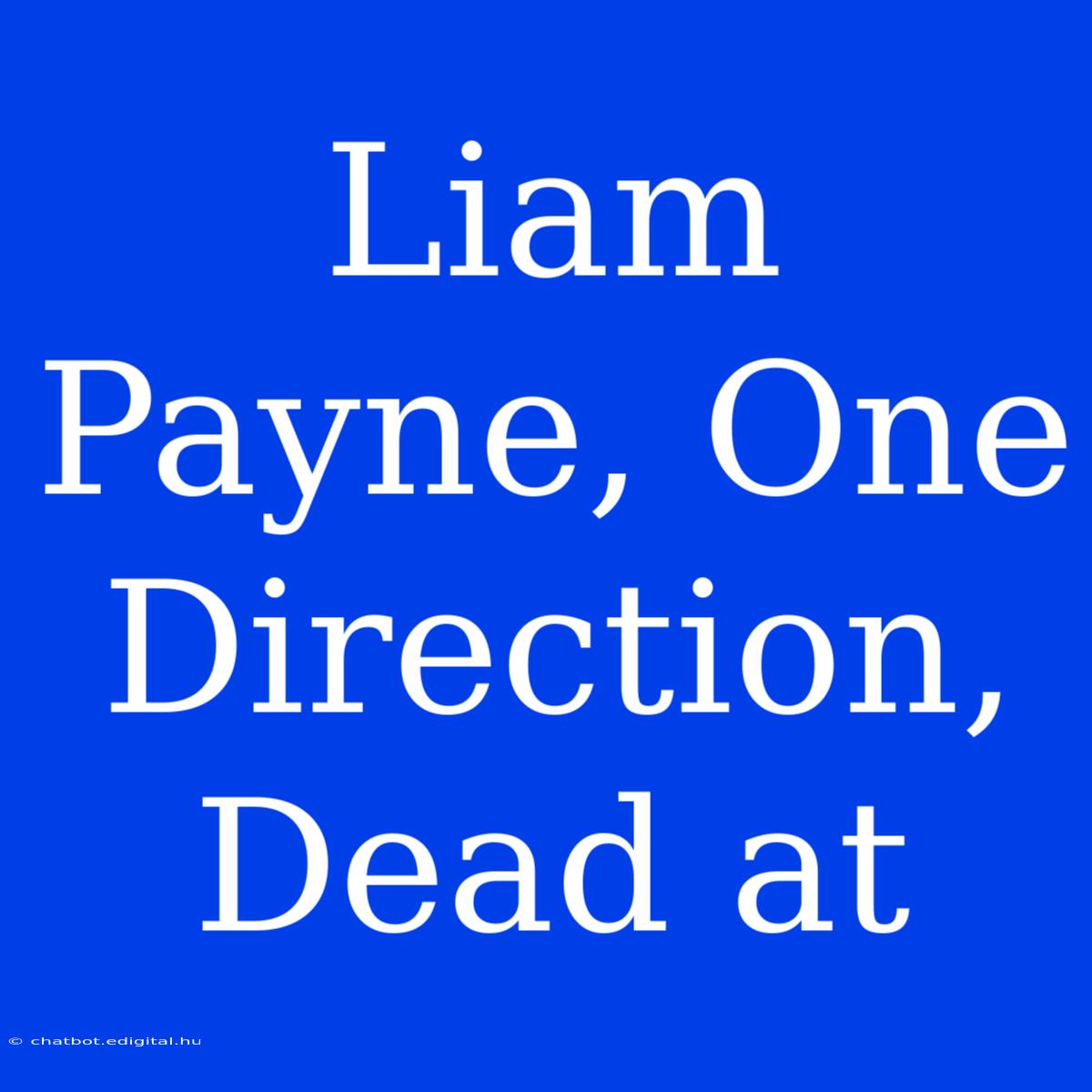 Liam Payne, One Direction, Dead At 