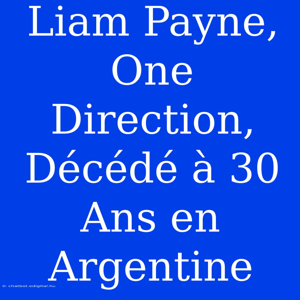 Liam Payne, One Direction, Décédé À 30 Ans En Argentine