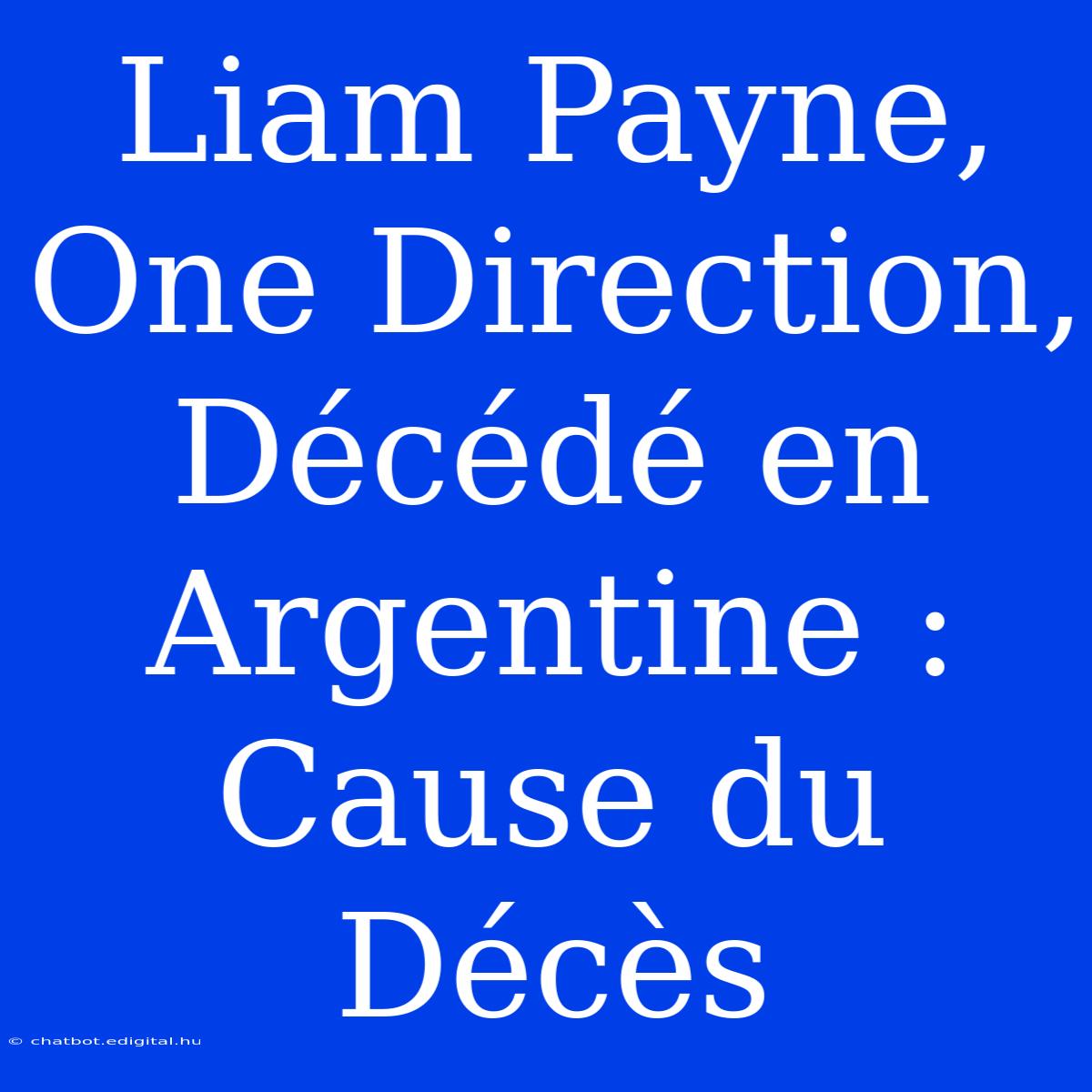 Liam Payne, One Direction, Décédé En Argentine : Cause Du Décès