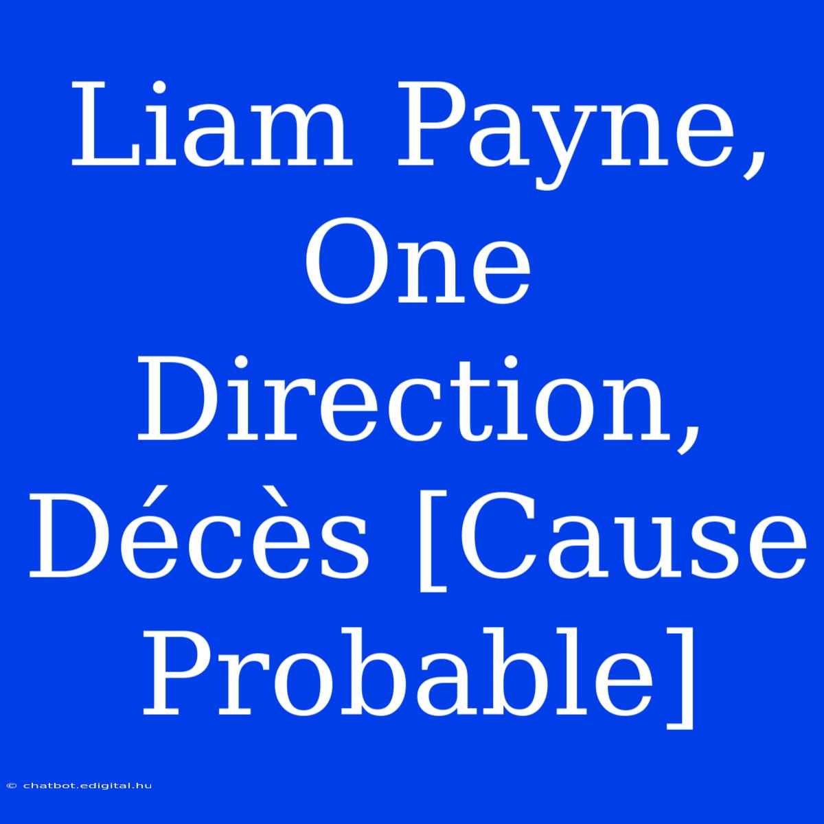 Liam Payne, One Direction, Décès [Cause Probable]