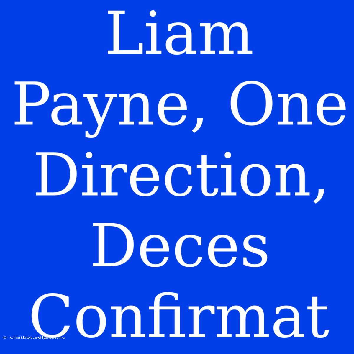 Liam Payne, One Direction, Deces Confirmat