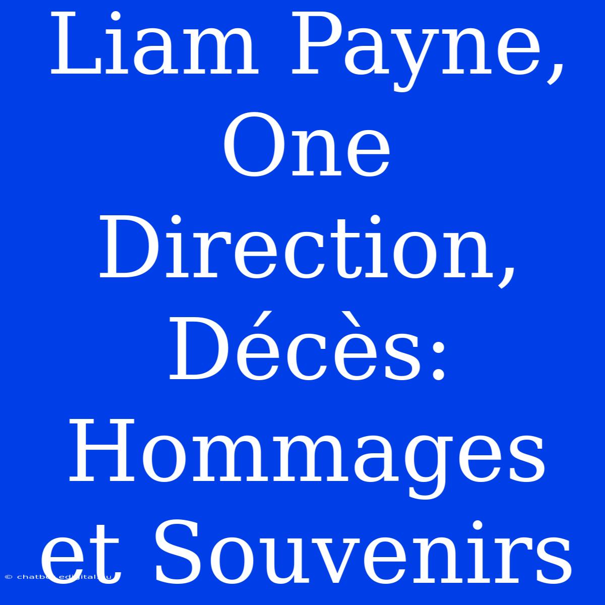 Liam Payne, One Direction, Décès: Hommages Et Souvenirs