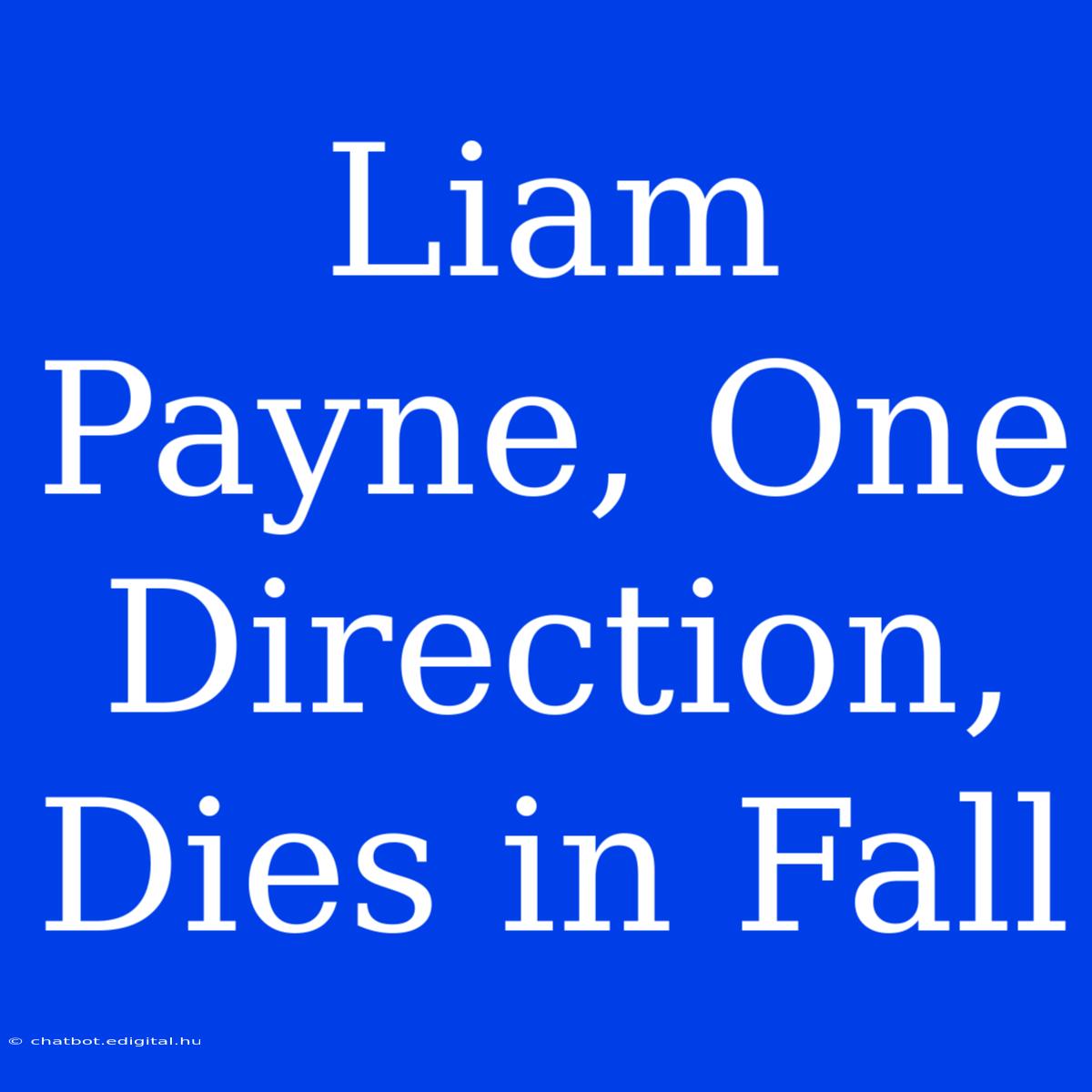 Liam Payne, One Direction, Dies In Fall