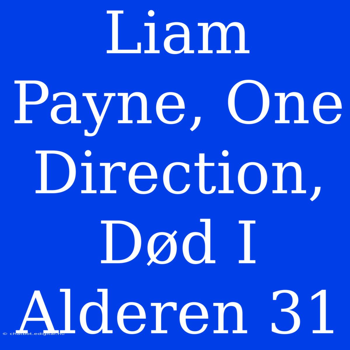 Liam Payne, One Direction, Død I Alderen 31