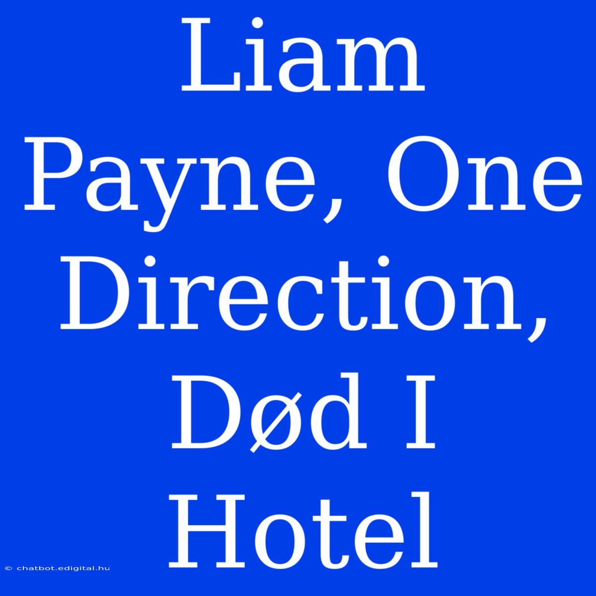 Liam Payne, One Direction, Død I Hotel