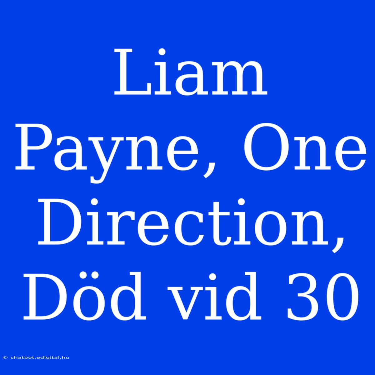 Liam Payne, One Direction, Död Vid 30