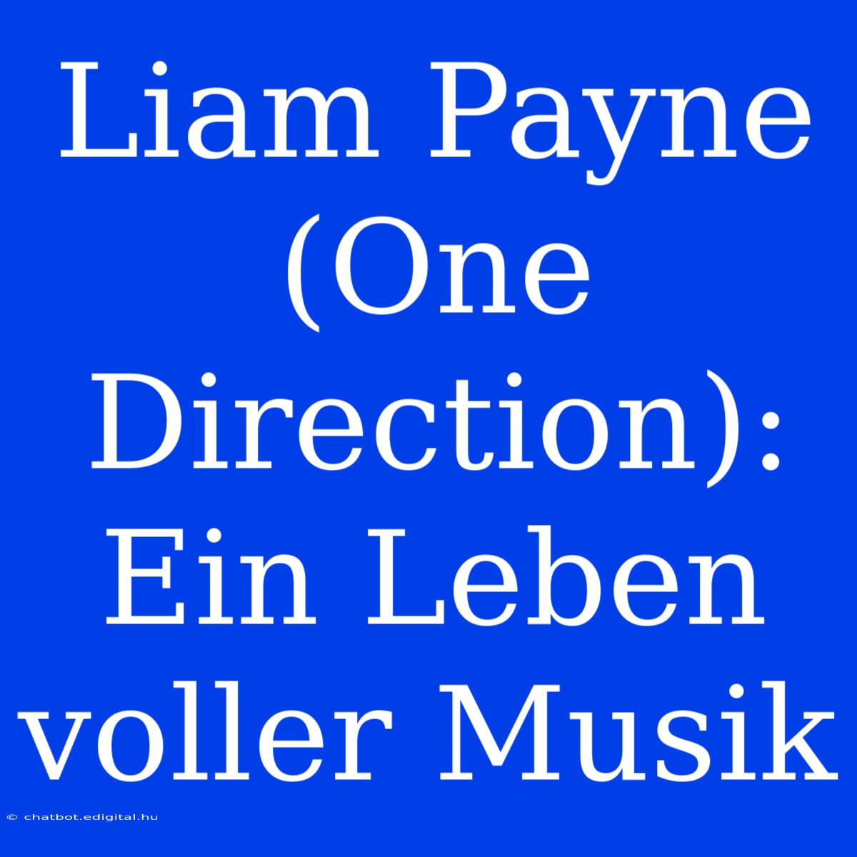 Liam Payne (One Direction): Ein Leben Voller Musik