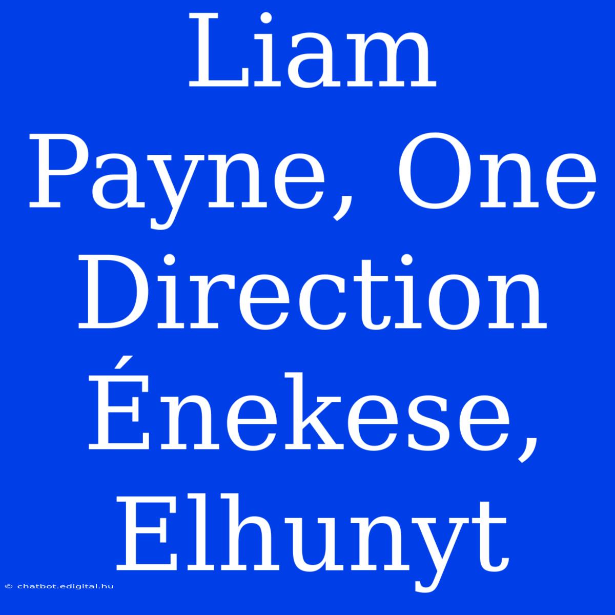 Liam Payne, One Direction Énekese, Elhunyt