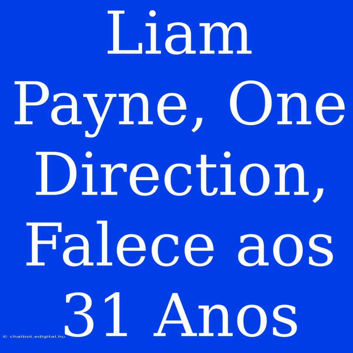 Liam Payne, One Direction, Falece Aos 31 Anos 