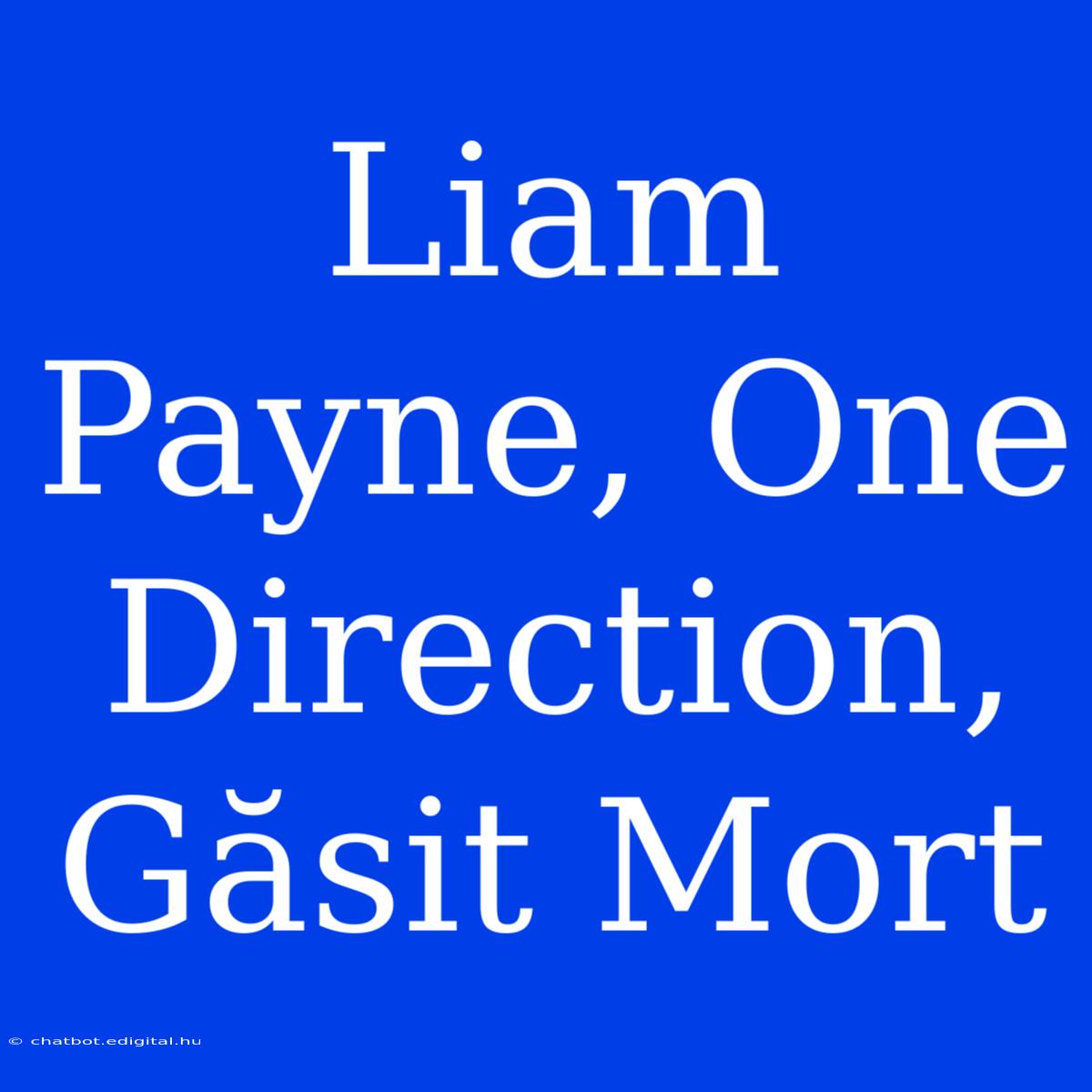 Liam Payne, One Direction, Găsit Mort