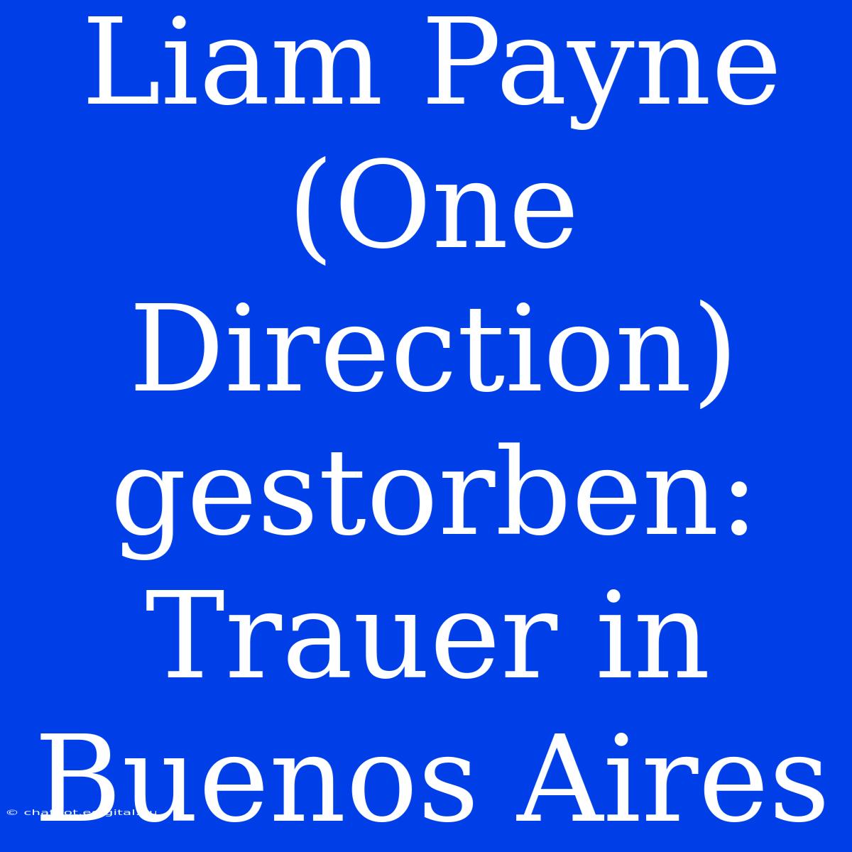 Liam Payne (One Direction) Gestorben: Trauer In Buenos Aires 