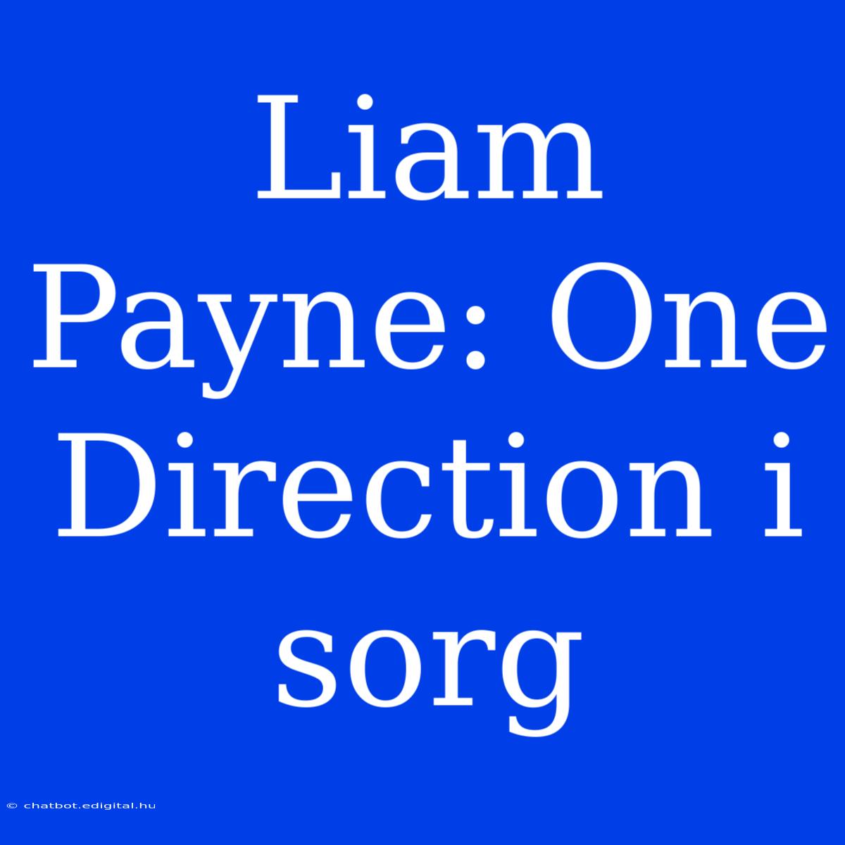 Liam Payne: One Direction I Sorg