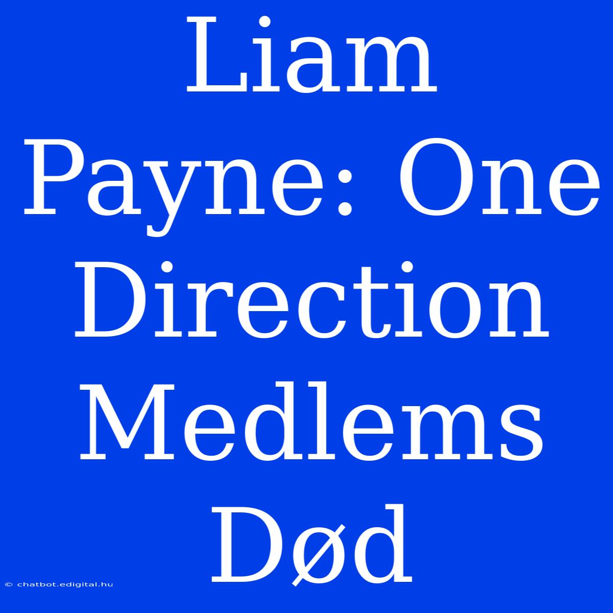 Liam Payne: One Direction Medlems Død 