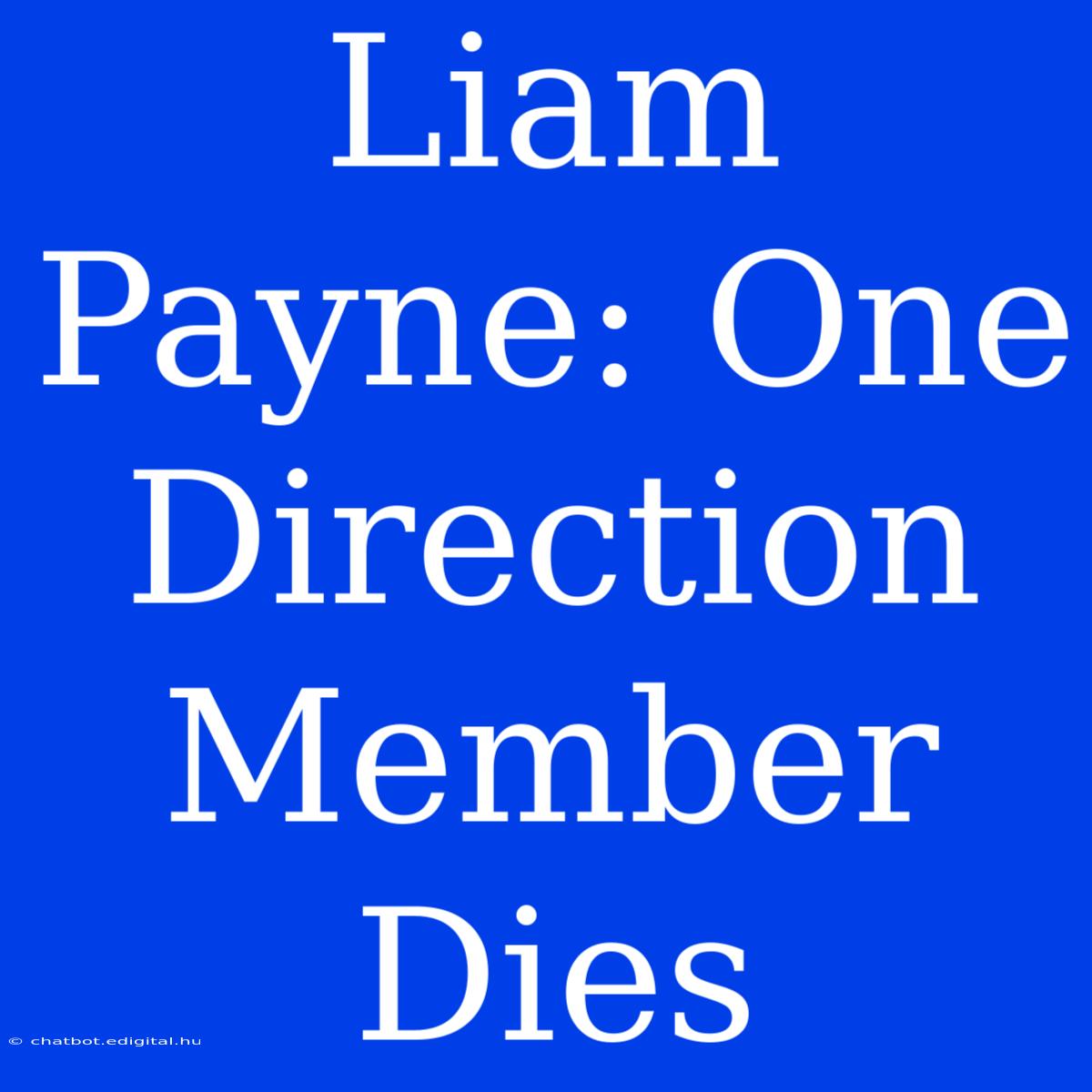 Liam Payne: One Direction Member Dies