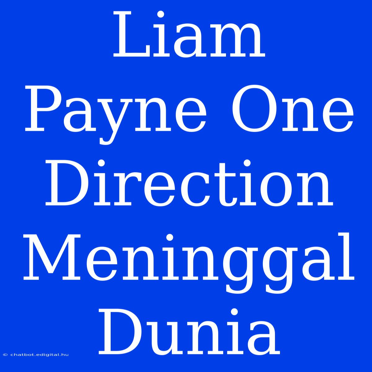 Liam Payne One Direction Meninggal Dunia