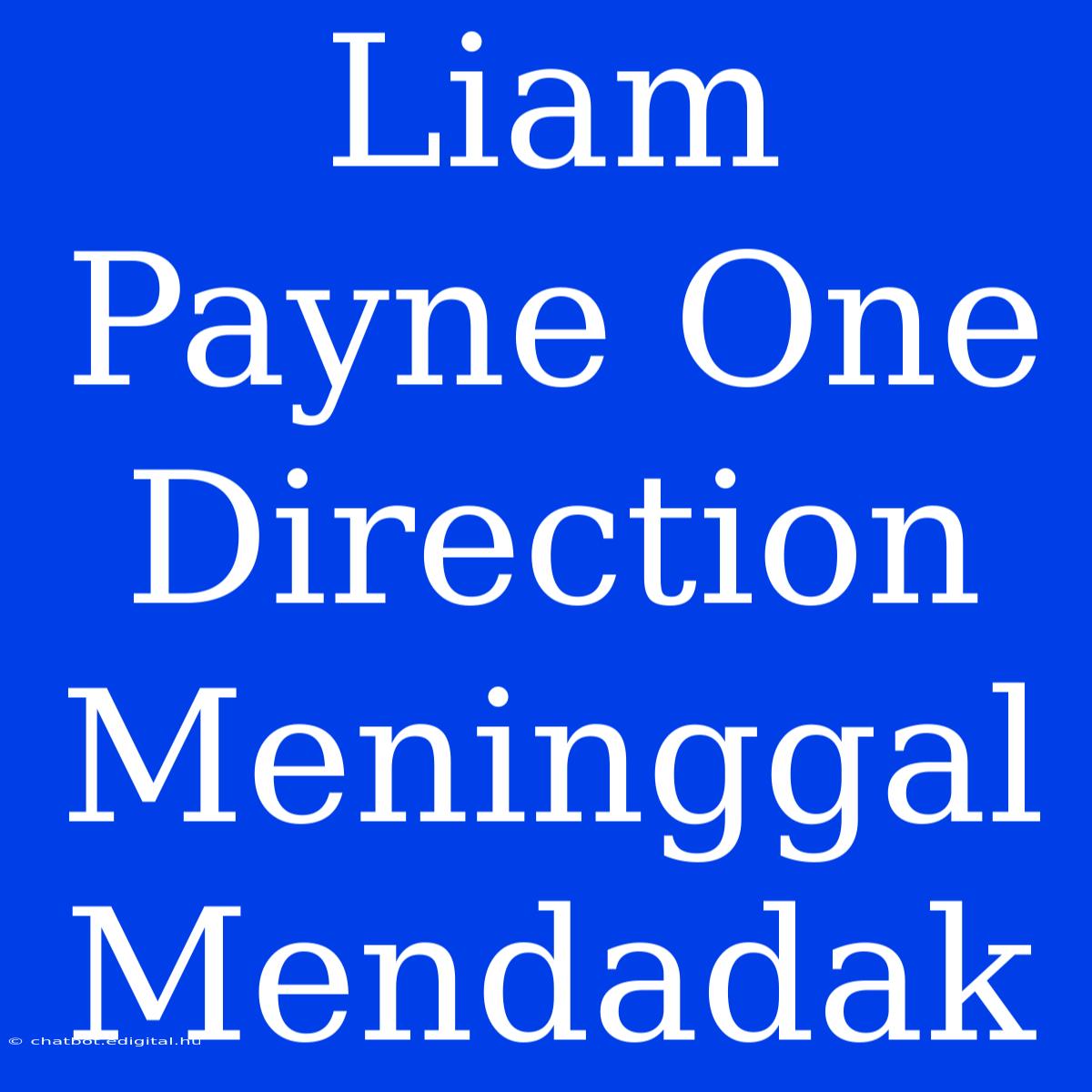 Liam Payne One Direction Meninggal Mendadak