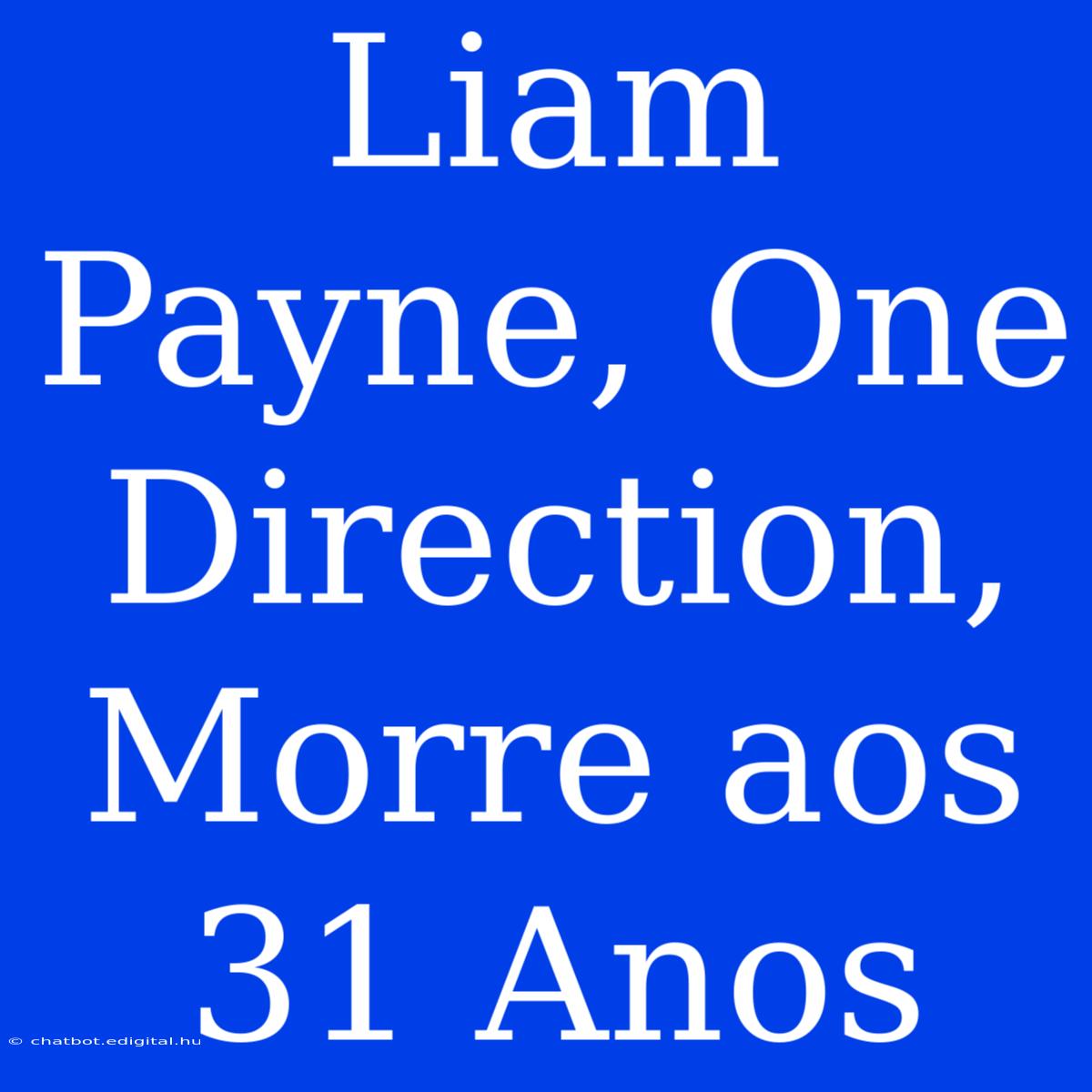 Liam Payne, One Direction, Morre Aos 31 Anos