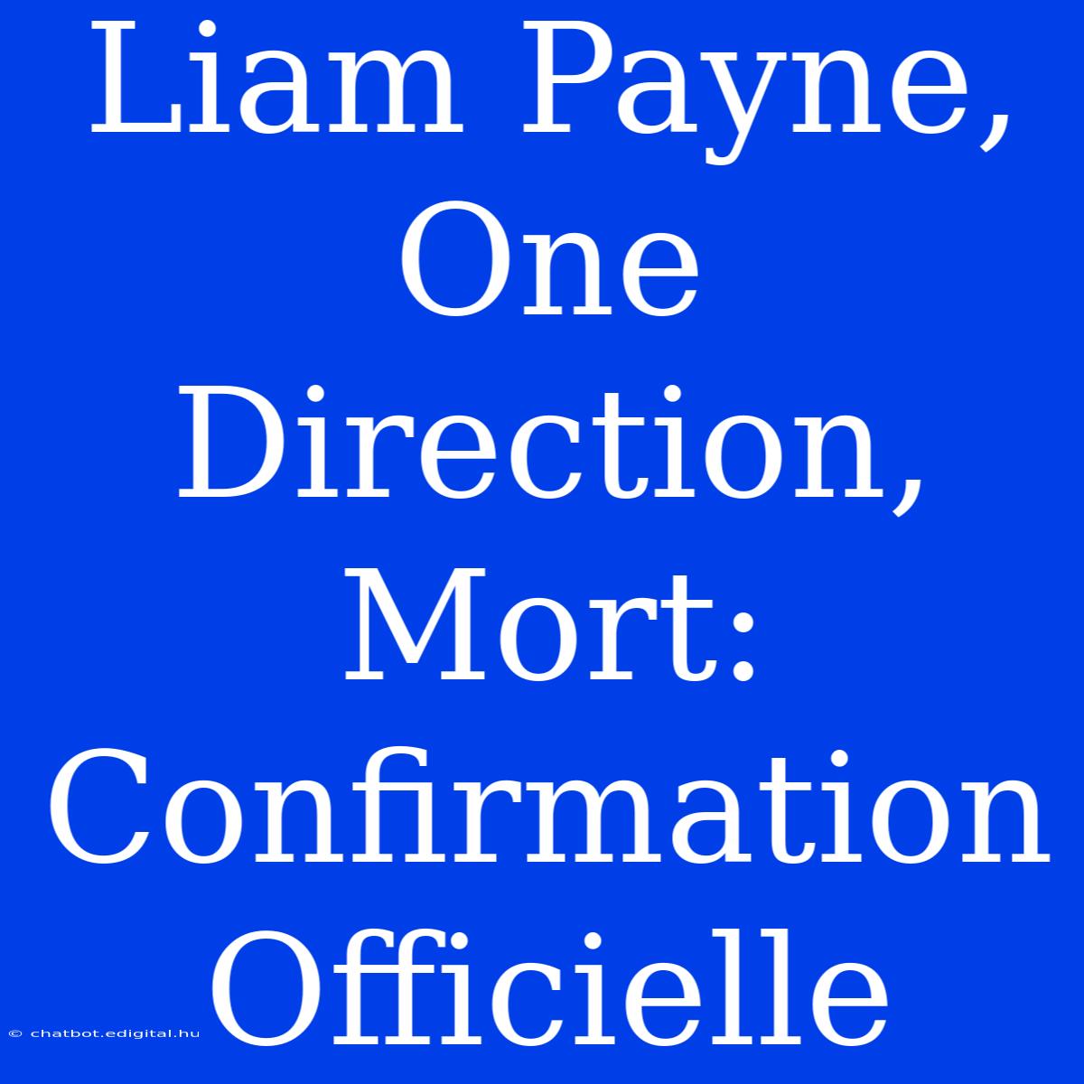 Liam Payne, One Direction, Mort: Confirmation Officielle