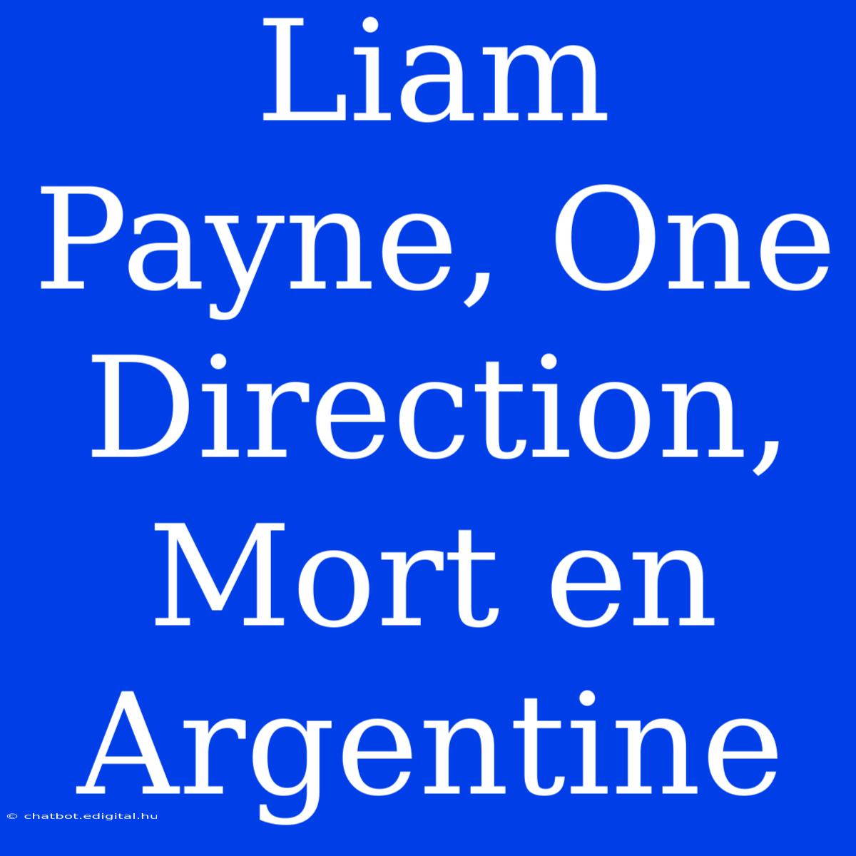 Liam Payne, One Direction, Mort En Argentine