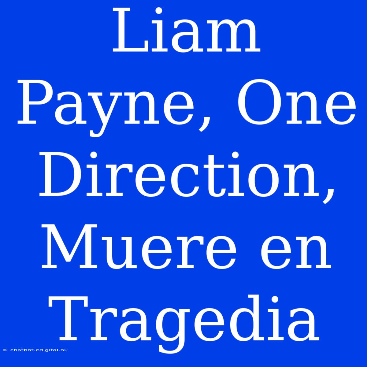 Liam Payne, One Direction, Muere En Tragedia