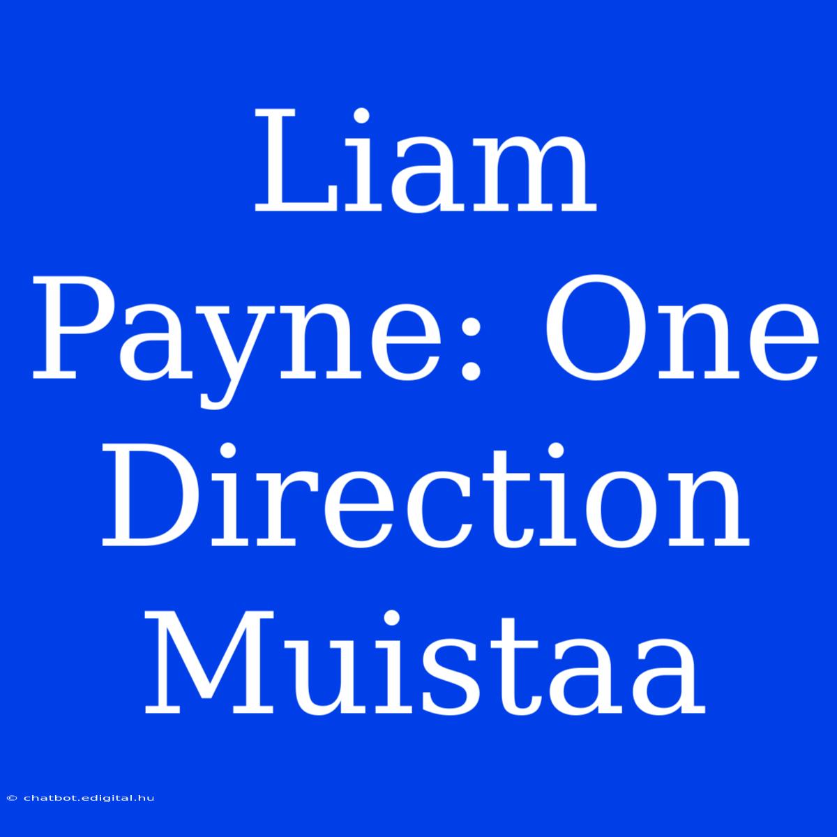 Liam Payne: One Direction Muistaa