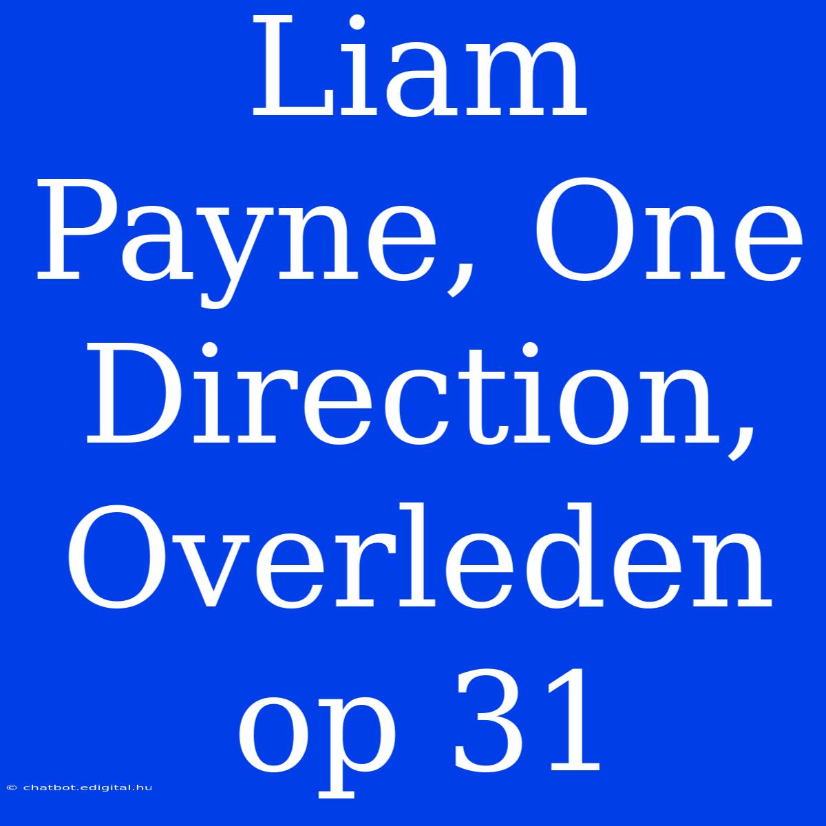 Liam Payne, One Direction, Overleden Op 31