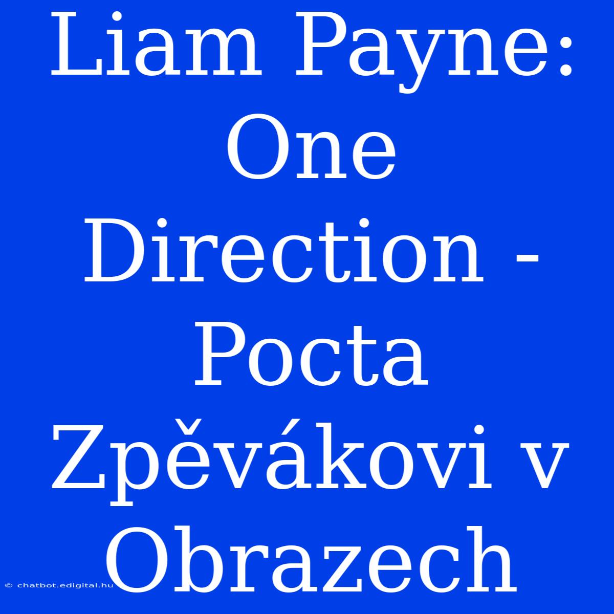 Liam Payne: One Direction - Pocta Zpěvákovi V Obrazech