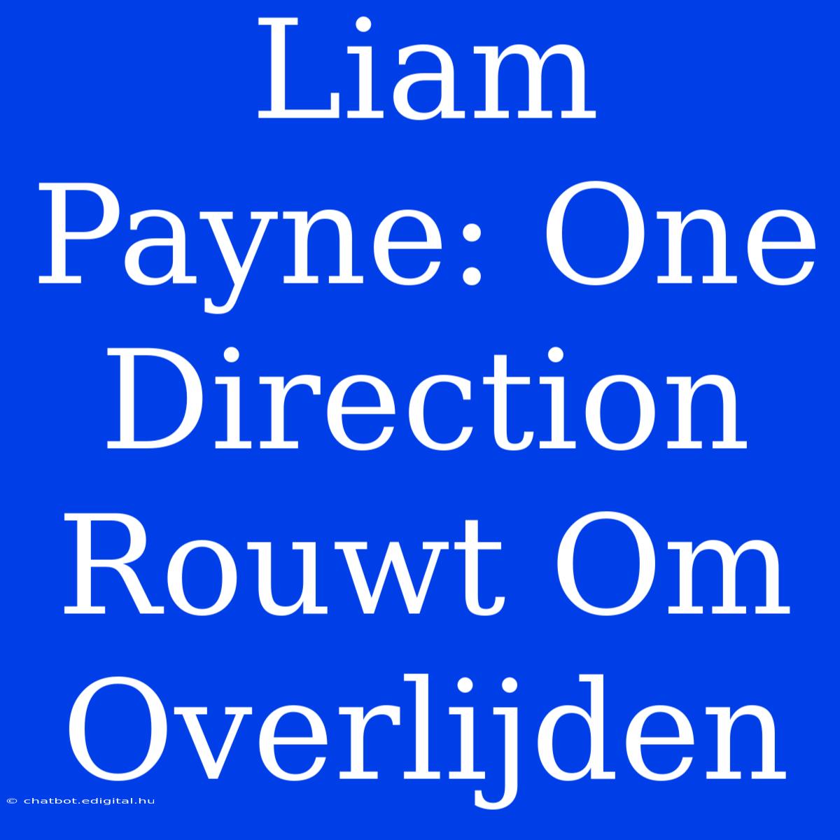 Liam Payne: One Direction Rouwt Om Overlijden