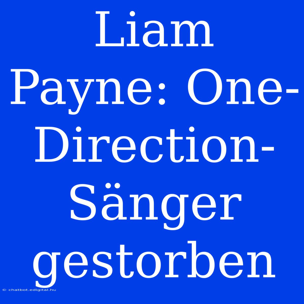 Liam Payne: One-Direction-Sänger Gestorben