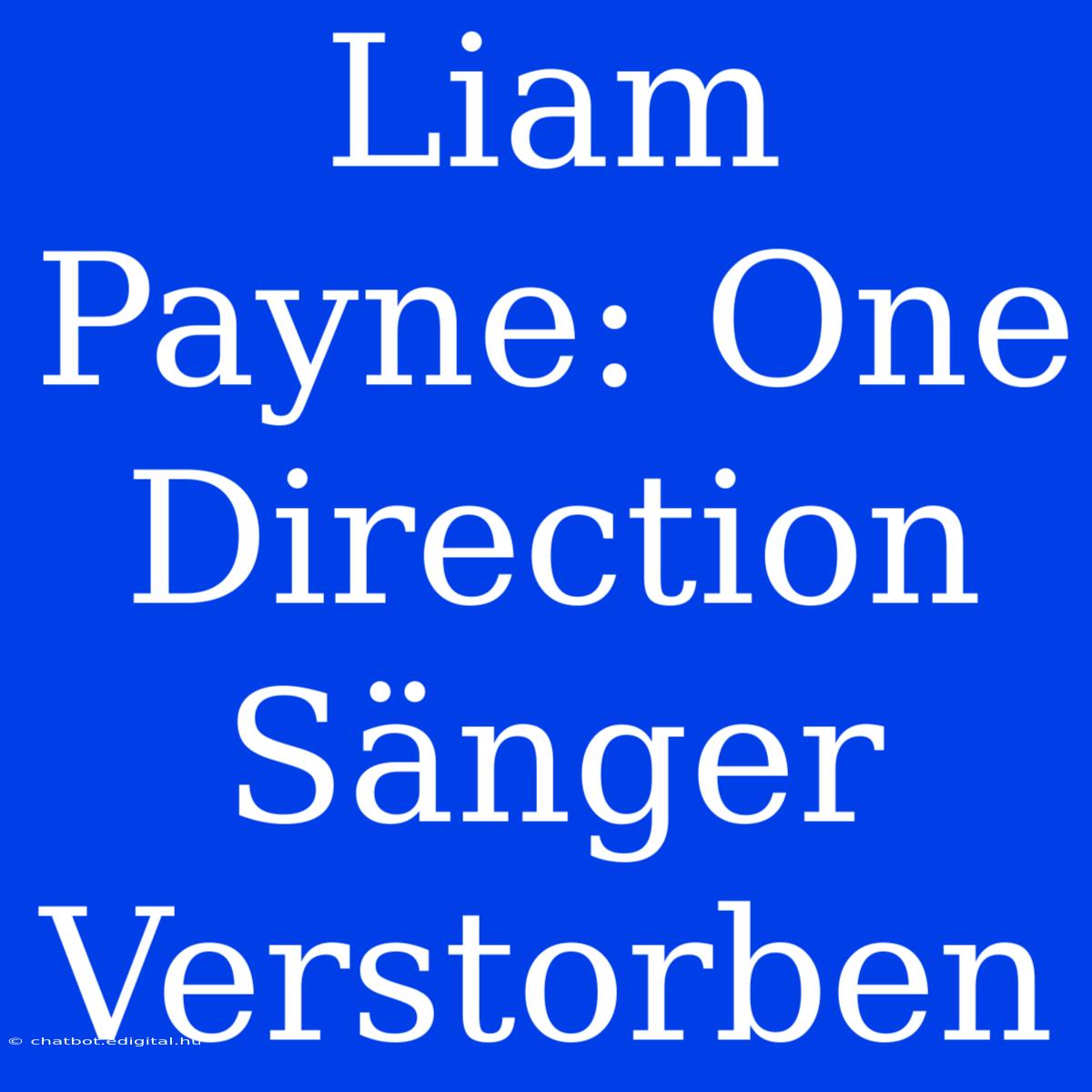 Liam Payne: One Direction Sänger Verstorben