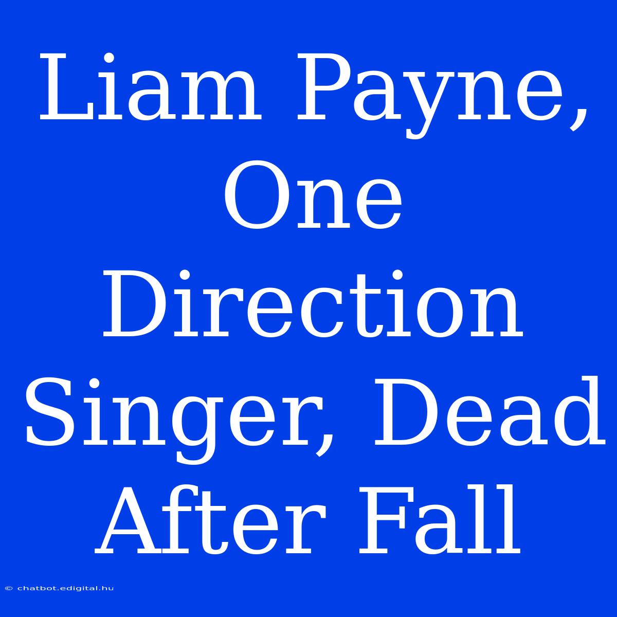 Liam Payne, One Direction Singer, Dead After Fall