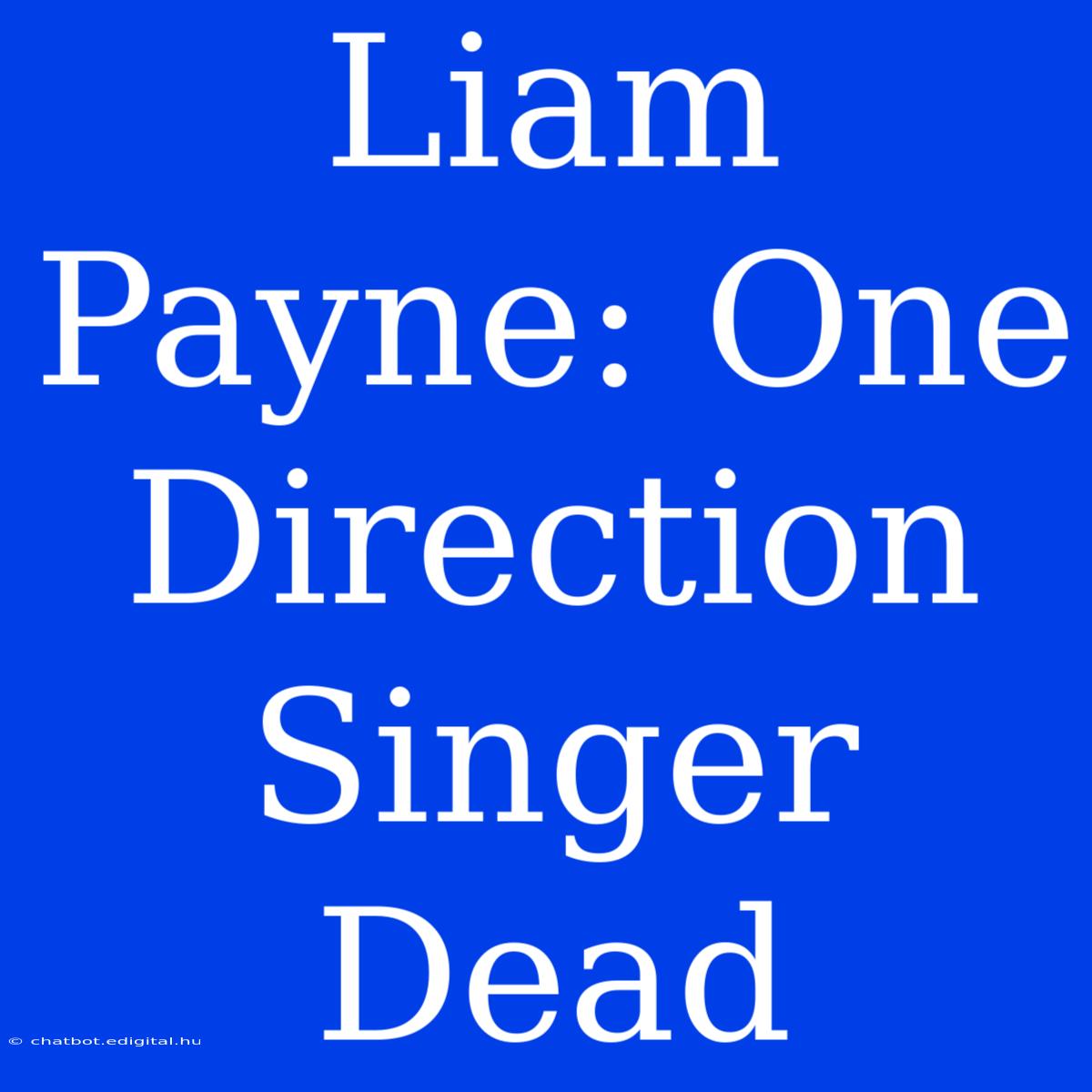 Liam Payne: One Direction Singer Dead