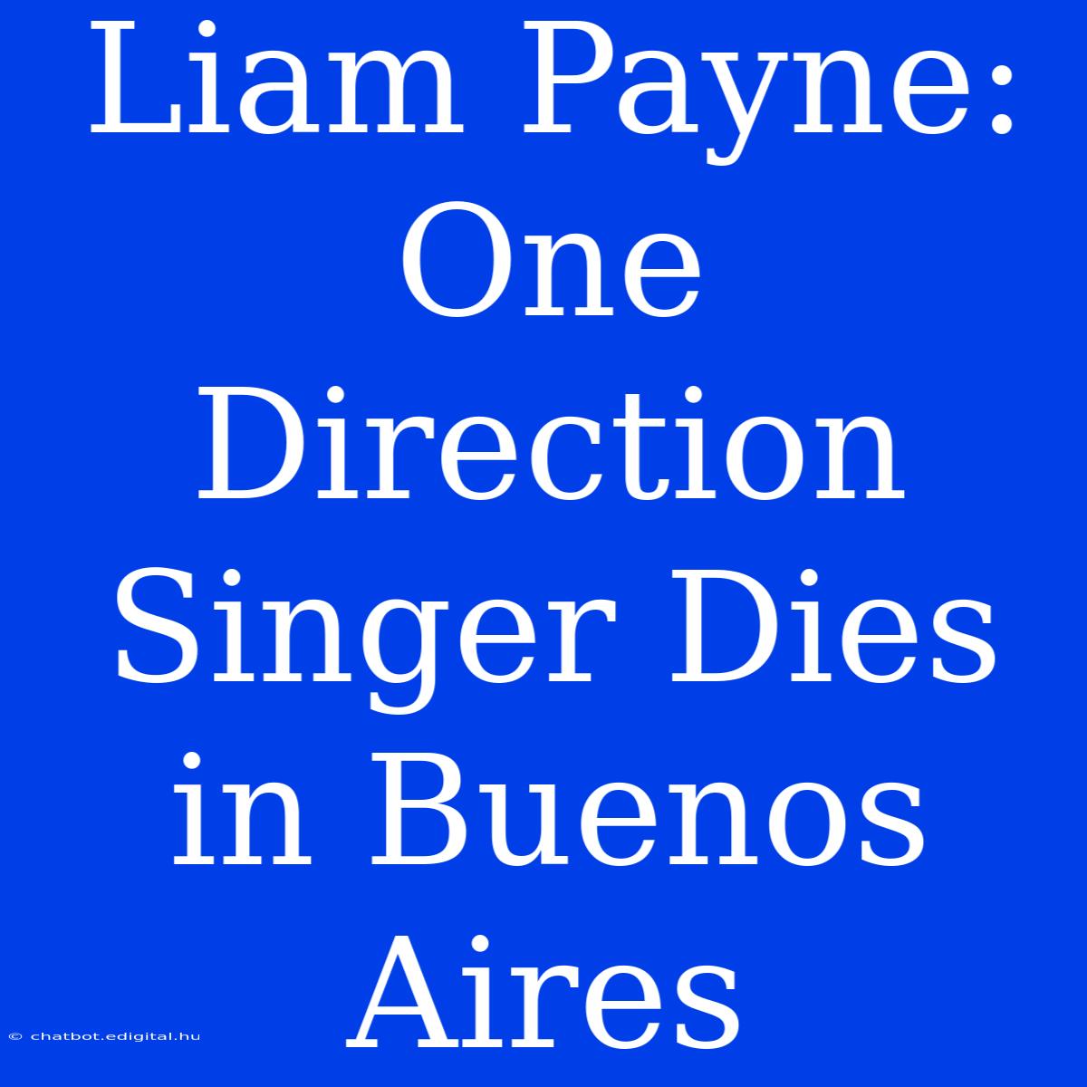 Liam Payne: One Direction Singer Dies In Buenos Aires 