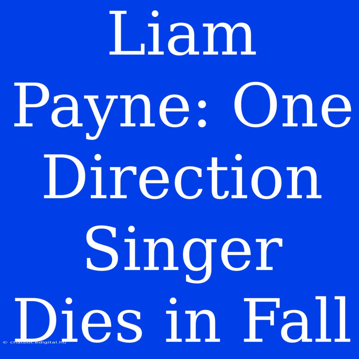 Liam Payne: One Direction Singer Dies In Fall